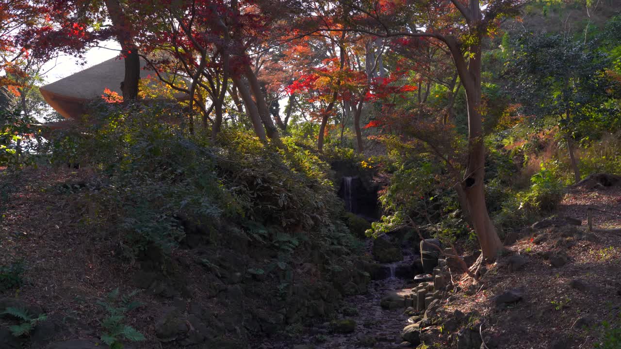 hermosos colores de otoño en el jardín paisajístico tradicional japonés