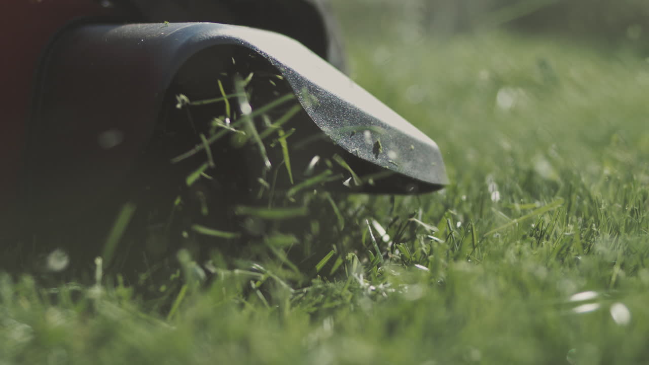 잔디를 는 잔디기 의 근접 사진