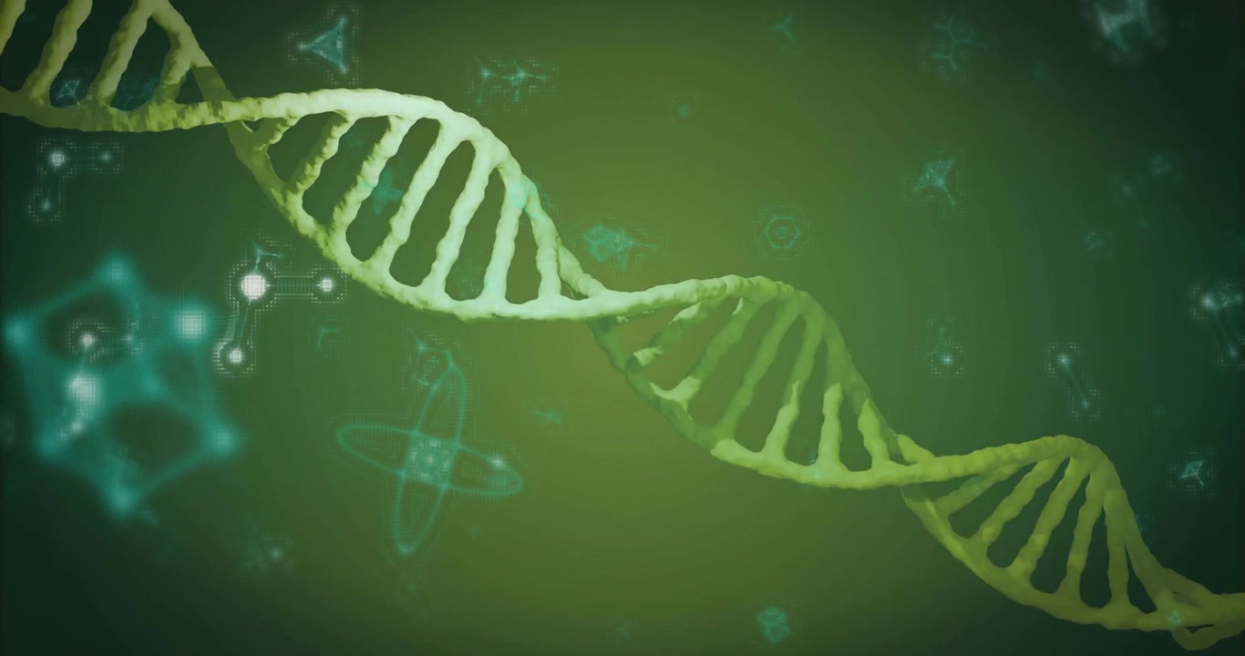 All'avvio, un'elica di DNA scorre con colori che si alternano tra icone luminose per mostrare il movimento molecolare