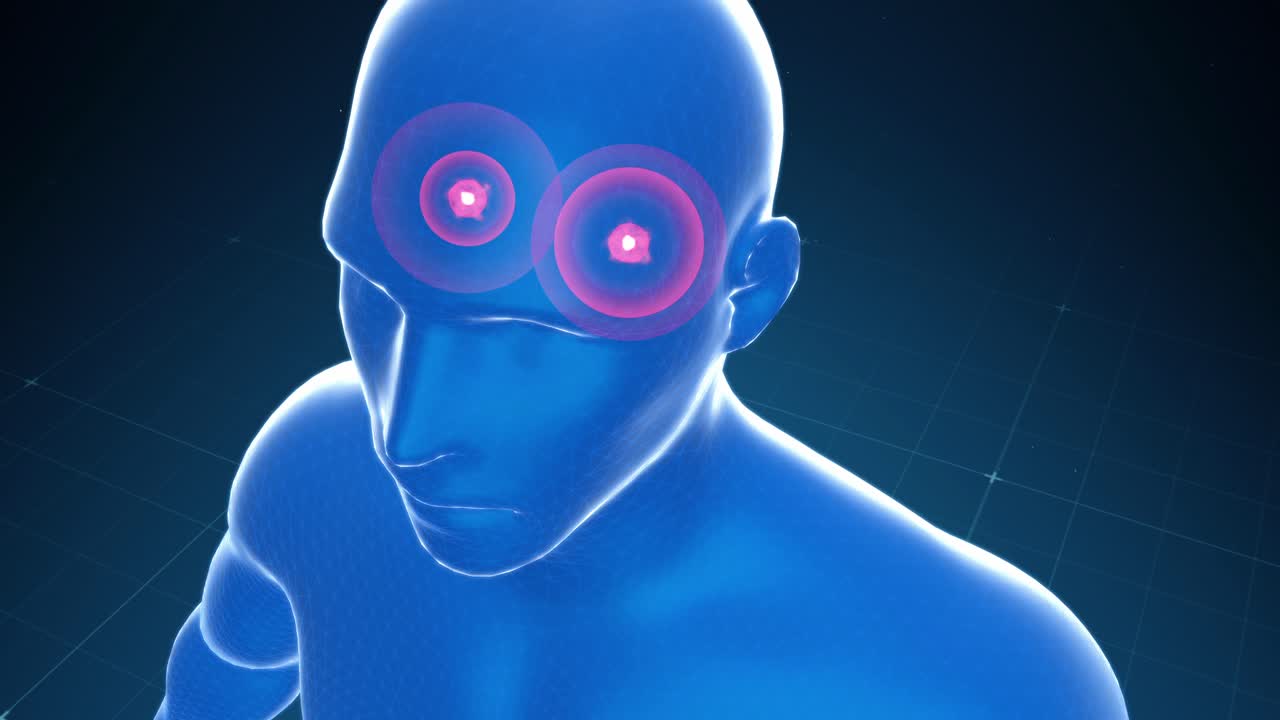 modelo 3d de cabeza humana con regiones cerebrales resaltadas