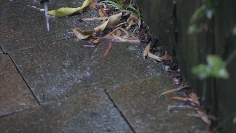 slow-motion-of-water-hitting-the-ground-with-the-wall-fence-and-some-leaves