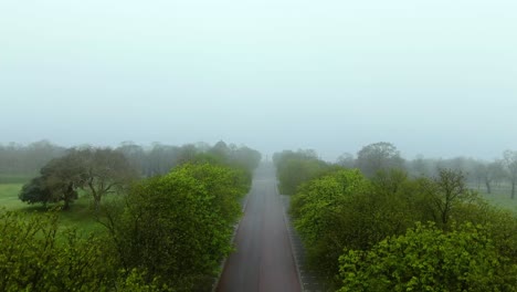 beautiful foggy drone shot of the road and tree's