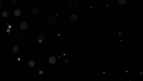 superposición de partículas de nieve en un fondo súper negro