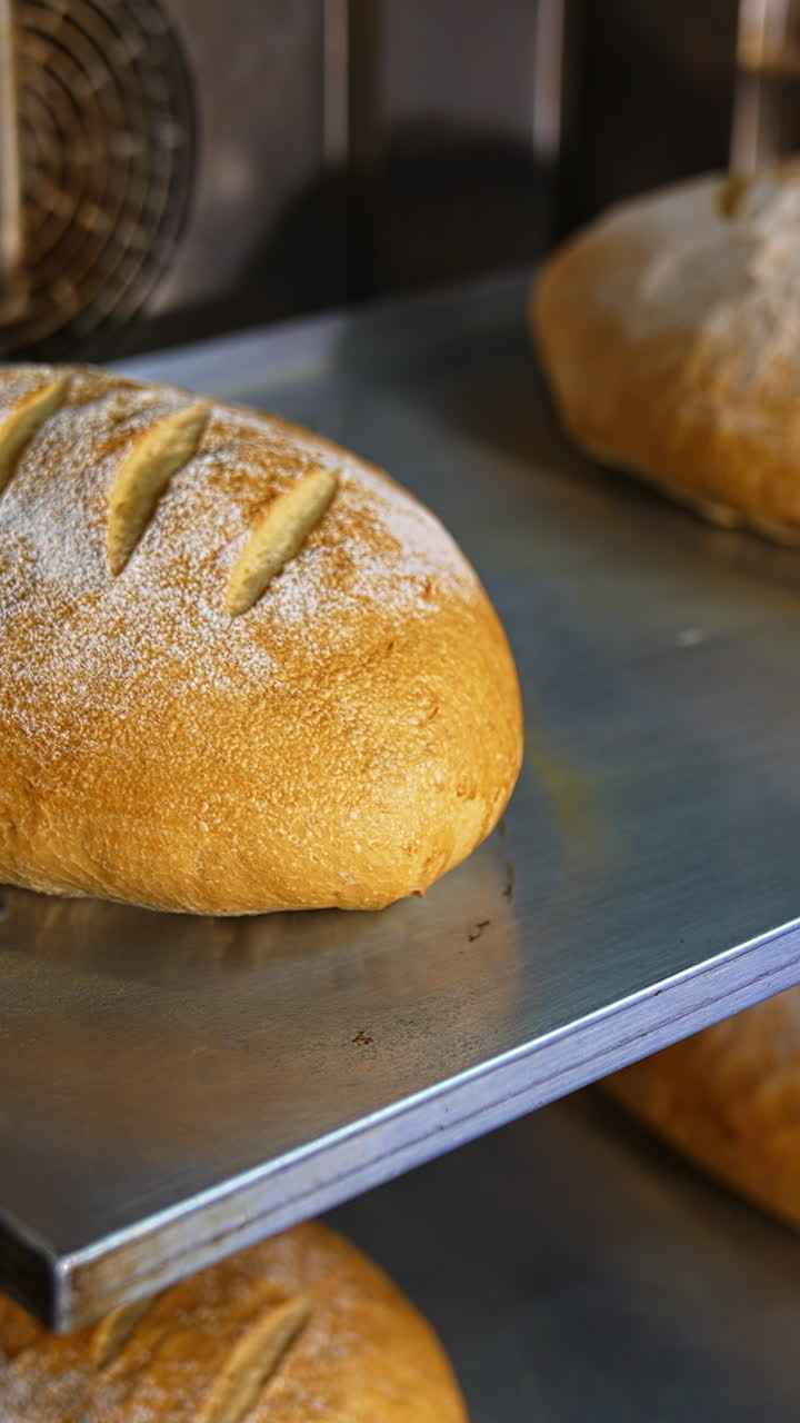 Baker's hands pull freshly-baked loaves from the oven. Making tasty brown bread at bakery. Close up. Vertical video
