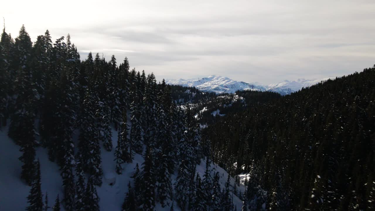 emocionante escena aérea sobre los increíbles bosques del parque provincial garibaldi con vistas a las montañas costeras cubiertas de nieve en un día nublado en invierno