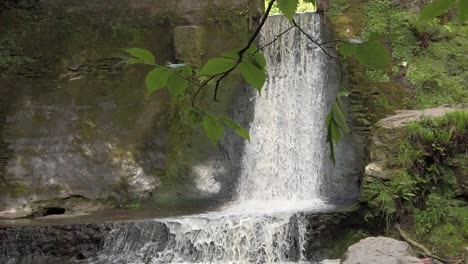 Pacífico-Bosque-Bosque-Salpicar-Cascada-Cámara-Lenta-Paraíso-Que-Fluye-Desierto-Muñeca-Justo-Debajo-De-Las-Hojas