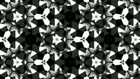 computerized animation of black and white floral patterns popping and fading on black background