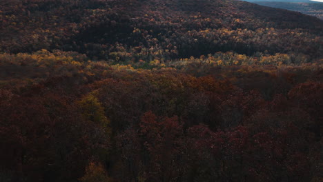 Aerial-View-Of-Lush-Forest-With-Colorful-Canopies-In-Autumn,-AR,-USA---Drone-Shot