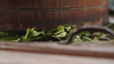 hojas de té verde enrolladas dentro de la antigua máquina de laminación china
