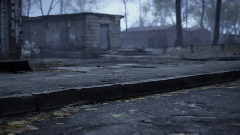 old-abandoned-garages-in-the-forest