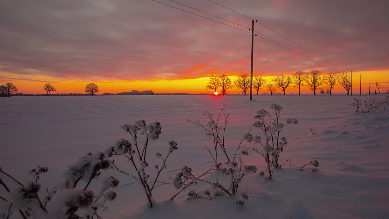 타임랩스의 아침 시간 동안 노란색 하늘 위로 태양이 떠오르는 눈 덮힌 들판의 정적인 샷