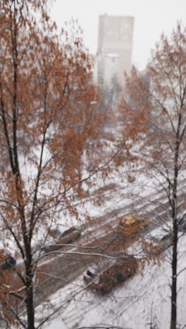 snowy cityscape with trees