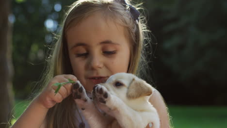 Portrait of a pretty little girl holding a labrador puppy and a tree branch and playing with it