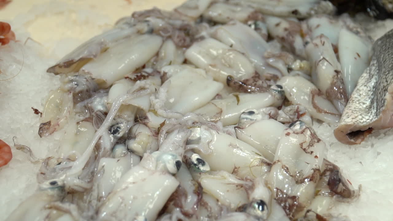 얼음으로 식힌 시장의 신선한 오징어