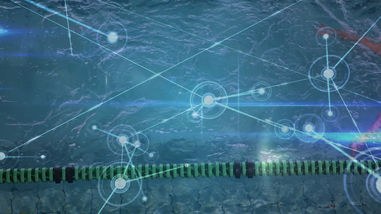 적합한 여성 수영 선수 수영에 대한 연결 네트워크의 애니메이션