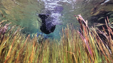 Pov-tracking-shot-of-snorkeler-exploring-underwater-world-during-sunlight