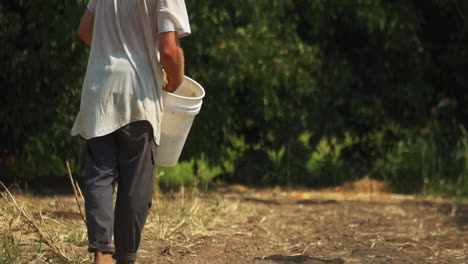 Close-up-of-a-boy-pouring-dry-form-powdered-organic-fertilizer-from-bucket-to-farm-land-ground