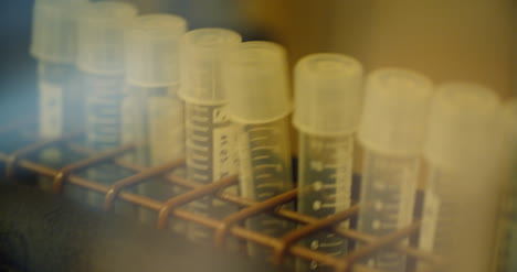 tubos de ensayo con bacterias en agitador en laboratorio