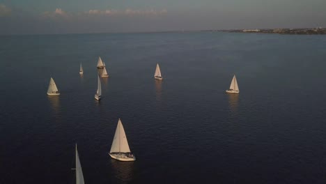 una tonelada de veleros en el lago