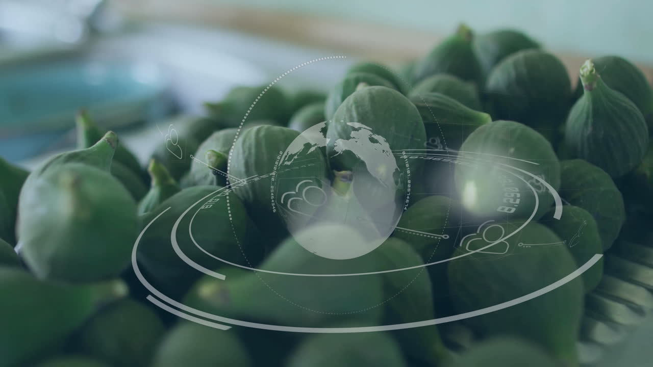 Green figs with digital globe and data processing animation overlay