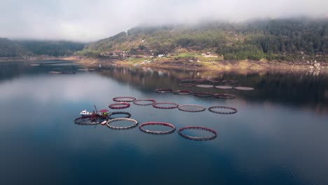 fischzuchtindustrie. fischkäfige von forellenfischfarmen im wasser