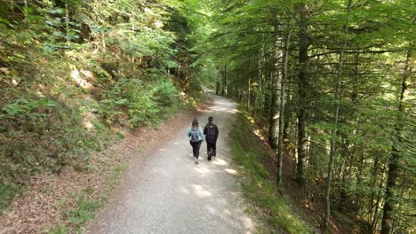 pareja joven caminando por el sendero del bosque
