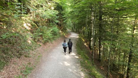 junges paar, das auf waldweg geht