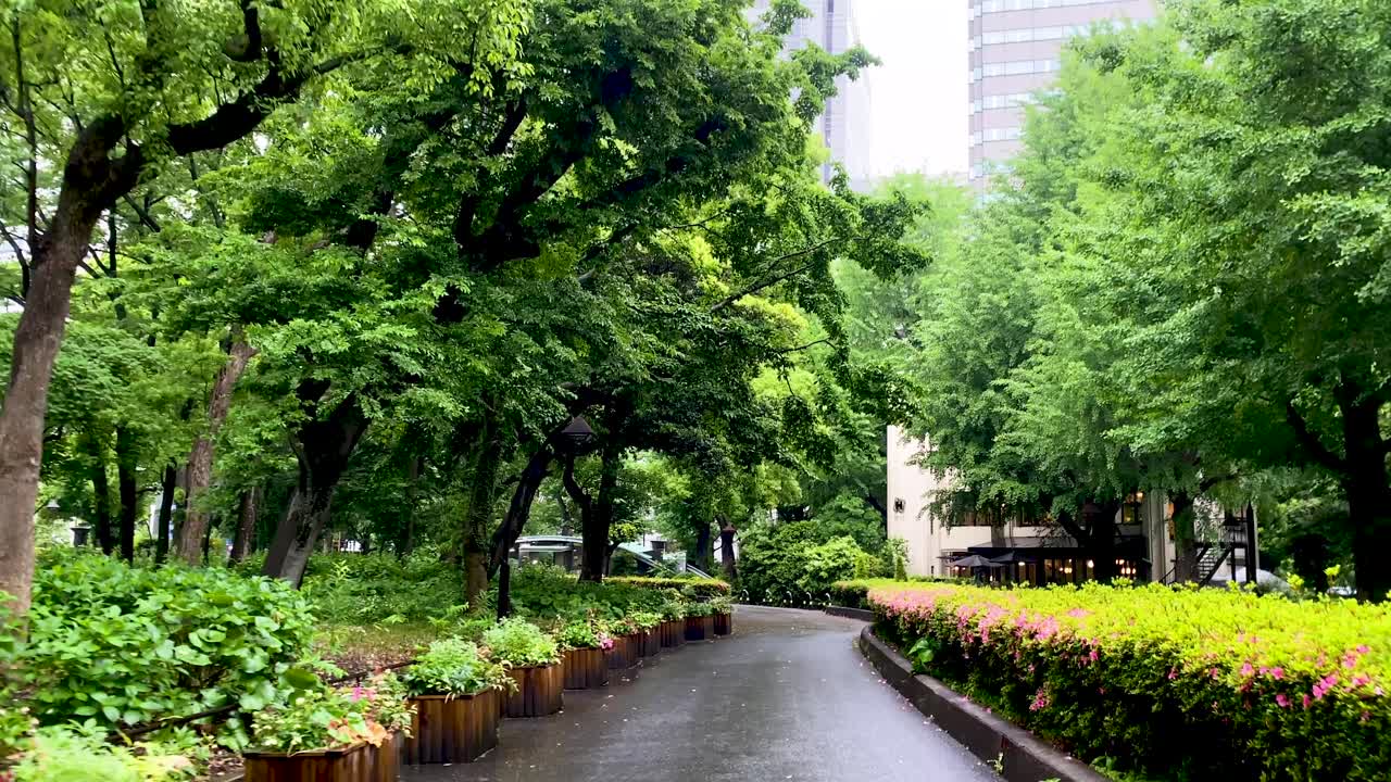 도쿄 최고의 전망