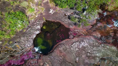 Ver-Directamente-Hacia-Abajo-En-El-Río-Caño-Cristales-De-Color-Oxidado-Que-Fluye-A-Través-Del-Lecho-Rocoso-De-La-Selva-Tropical-En-Colombia