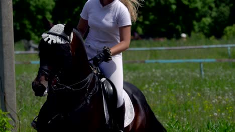 a beautiful girl in white hair and white clothes is riding a black brown stallion. the girl makes the horse perform various beautiful movements. the girl's hair develops in the wind. sunny summer day on a green glade.