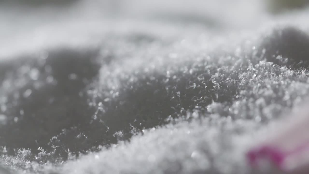 fotografía macro abstracta de una flor congelada