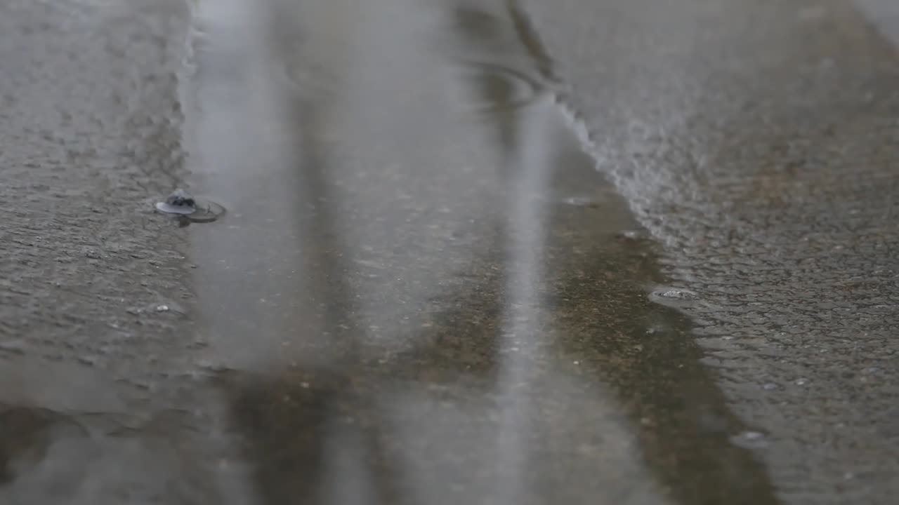 Water forming in the gutter on the side of the street
