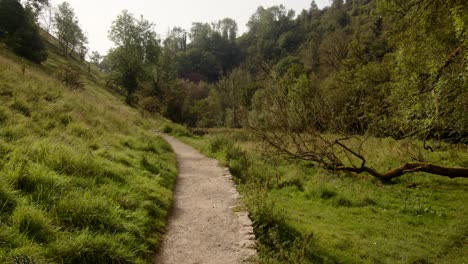 corto del comienzo de la paloma dale caminar, pasar, camino en milldale