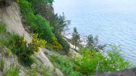 Vista-En-Cámara-Lenta-De-La-Playa-Desde-Clif