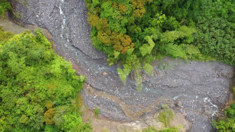 a stream cuts it way through the gravel riverbed in a dense verdant rain forest