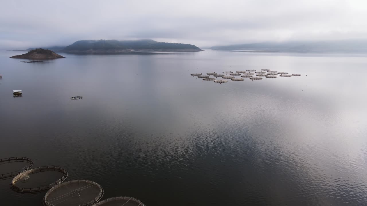 호수 또는 바다에서 원형 케이지를 가진 어류 농장