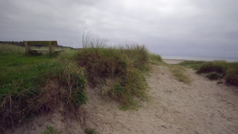 área de playa desierta