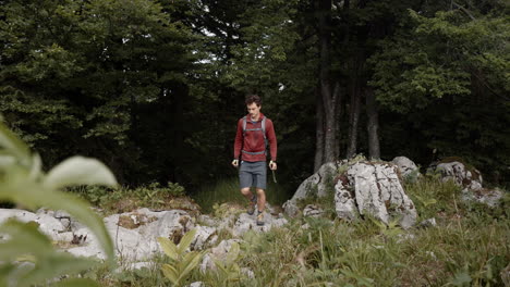 man with the backpack walking with the hiking poles out of the forest on big rocks to reach a certain destination