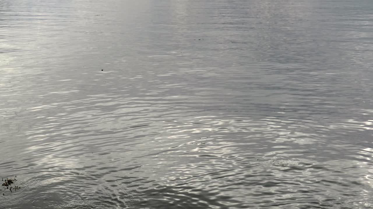 잔잔한 파도와 잔물결로 바위가 많은 해안에 부딪히는 기름진 검은 반사 바다 표면의 시간 경과