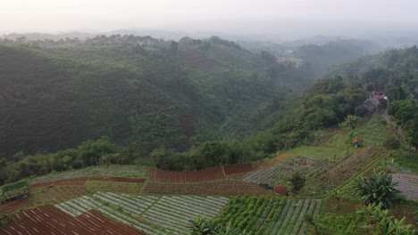 Misty Mountain Valley with Agricultural Terraces