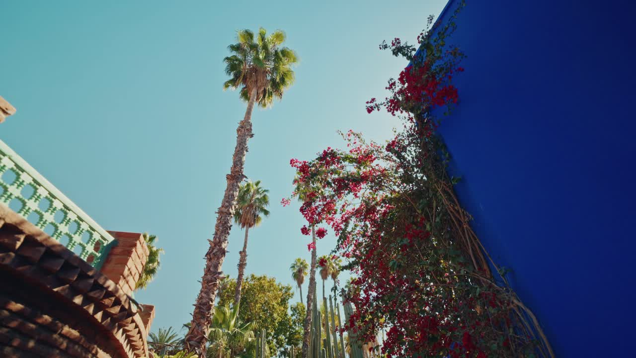 Walking through the Le Jardin Majorelle botanical garden, Marrakesh, Morocco.