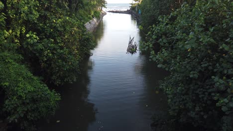 River-Mouth-Blue-Water-in-Between-Green-Lush-Vegetation-Enters-the-Sea-and-Beach-Shore-in-Bali,-Indonesia,-Saba,-Blahbatuh,-Gianyar,-60-Fps