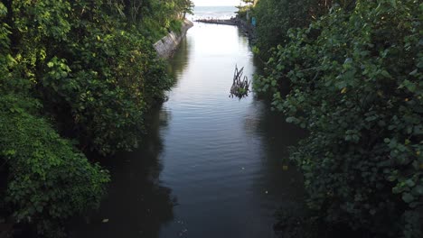river mouth blue water in between green lush vegetation enters the sea and beach shore in bali, indonesia, saba, blahbatuh, gianyar, 60 fps