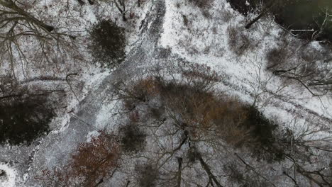 Top-down-aerial-of-winter-forest-covered-in-snow,-dolly-in-reveals-lake-pier