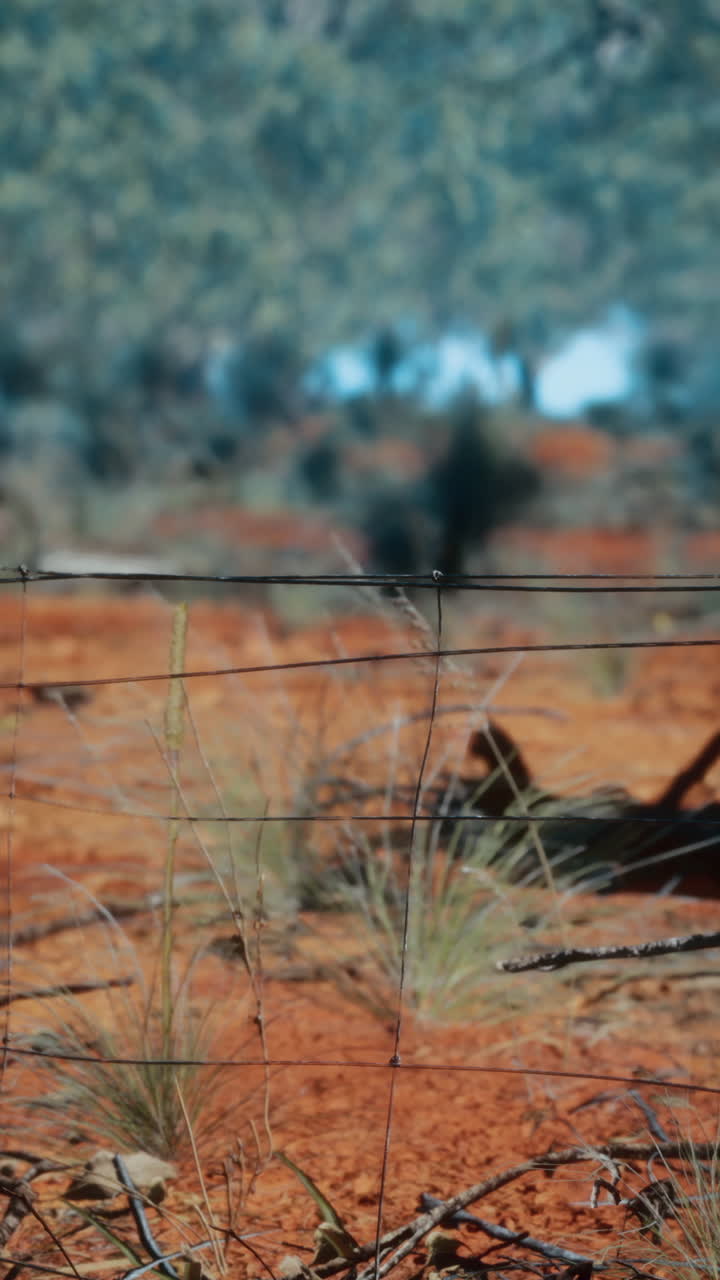 Close-up of a wire fence with red dirt and grass in the foreground