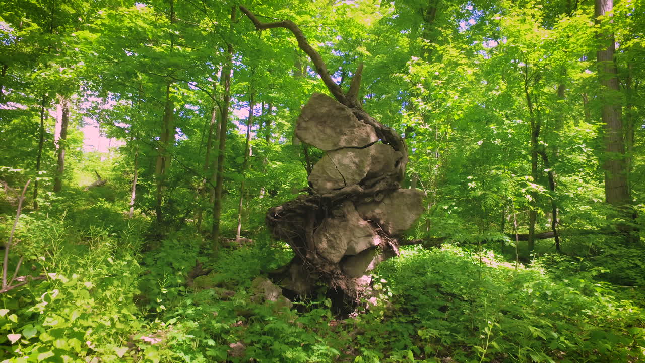 Large rock formation in the centre of a wild jungle