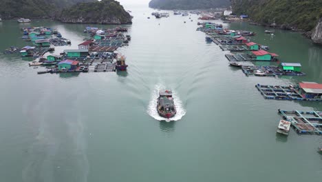 Drohnenaufnahme-Eines-Fischerbootes,-Das-Durch-Ein-Schwimmendes-Dorf-In-Cat-Ba-Und-Der-Halong-Bucht-Im-Norden-Vietnams-Fährt