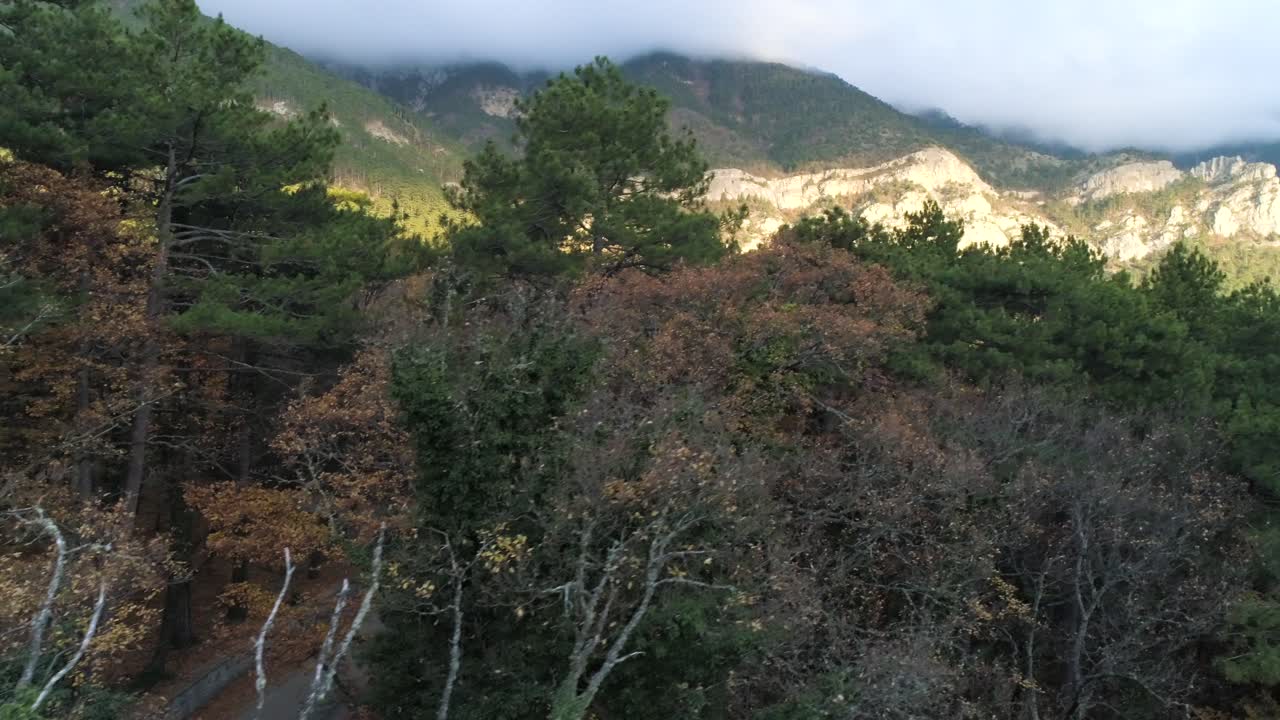 가을 색 을 가진 산림 풍경