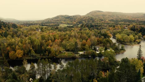 Herbstblätter