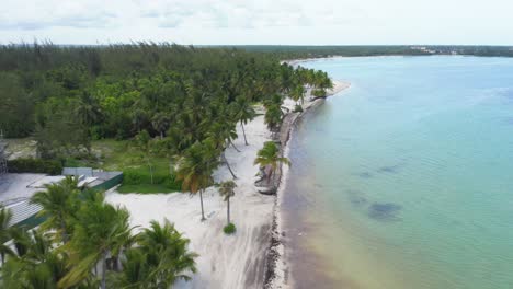 Aerial-forward-along-Cap-Cana-coast,-Dominican-Republic